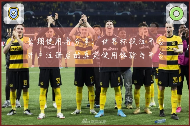 长期使用者分享：世界杯投注平台开户注册后的真实使用体验与平台优缺点分析