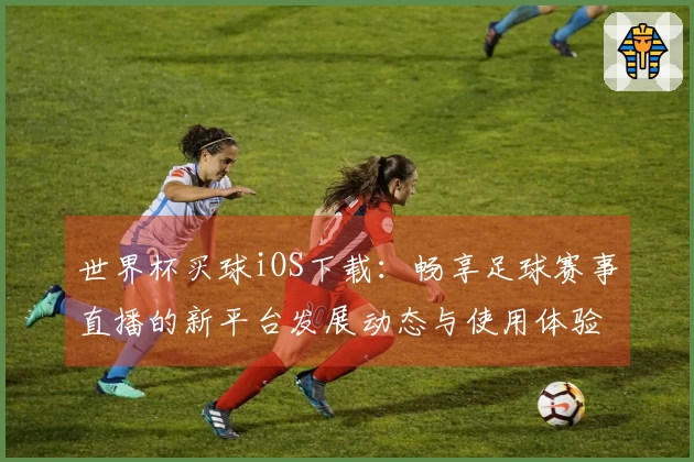 世界杯买球iOS下载：畅享足球赛事直播的新平台发展动态与使用体验分析