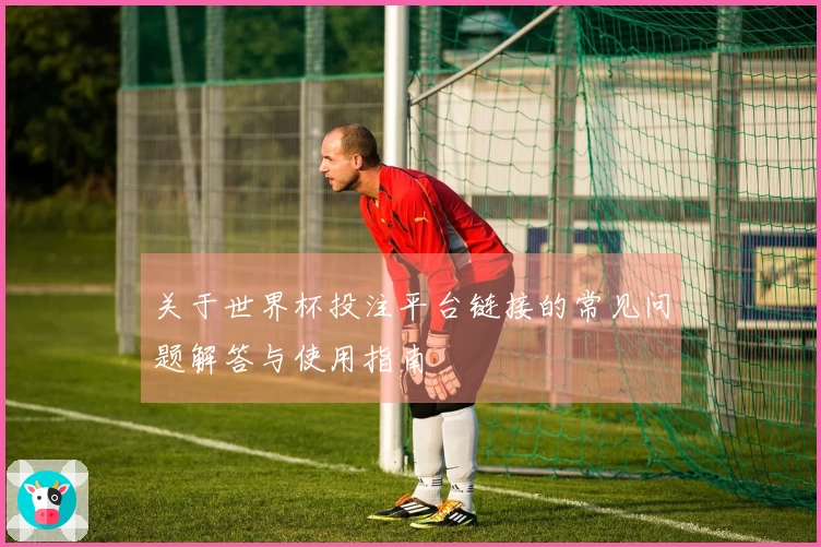 关于世界杯投注平台链接的常见问题解答与使用指南
