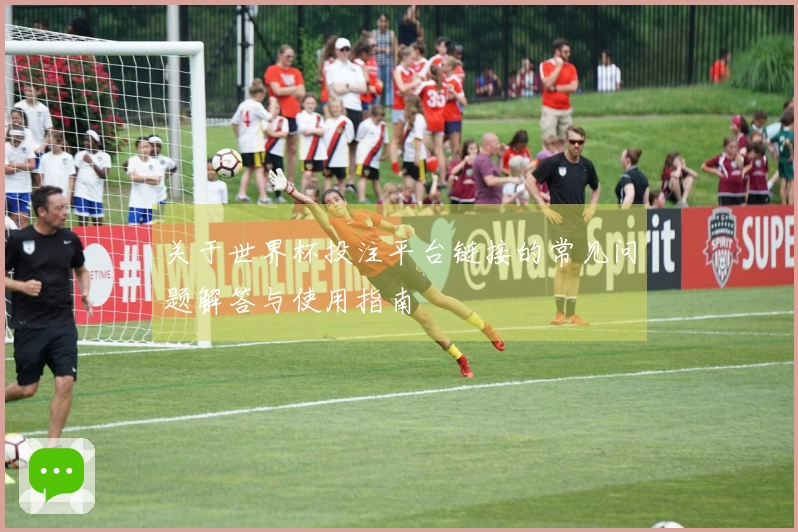 关于世界杯投注平台链接的常见问题解答与使用指南